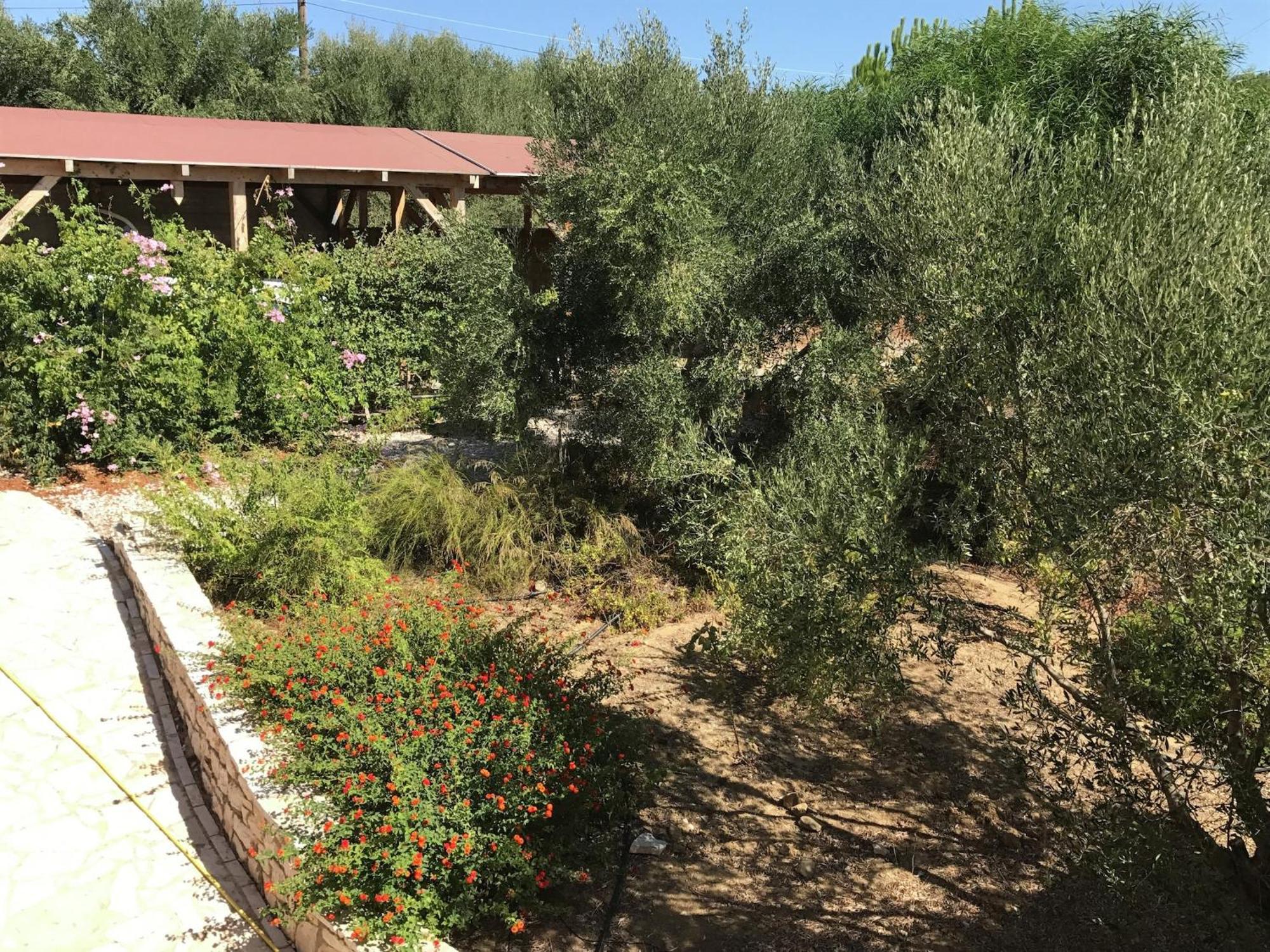 Luxurious Villa In Peloponnese With Swimming Pool Kamaria  Exterior photo